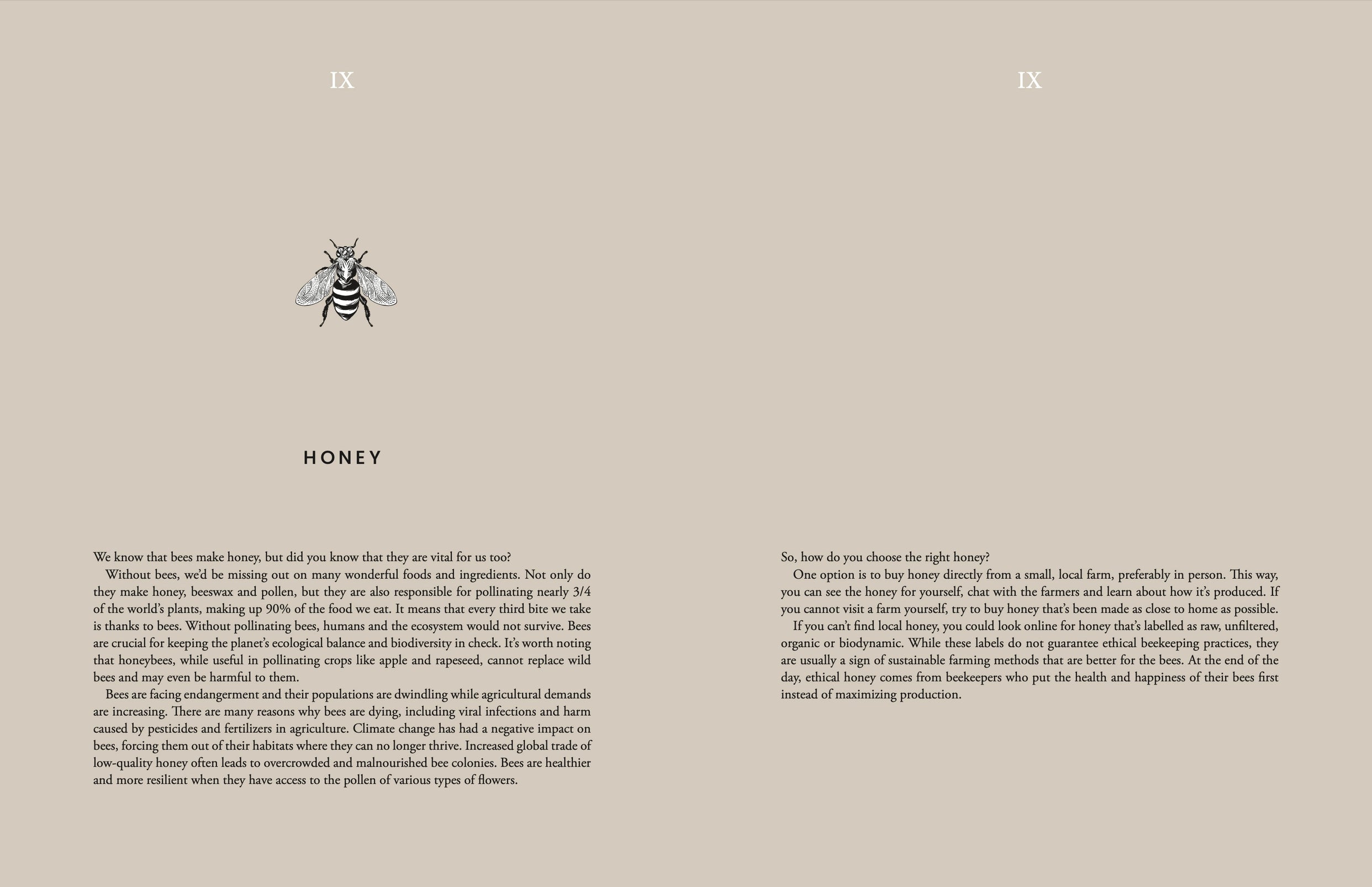 "Cooking sustainably", Ina Niiniketo