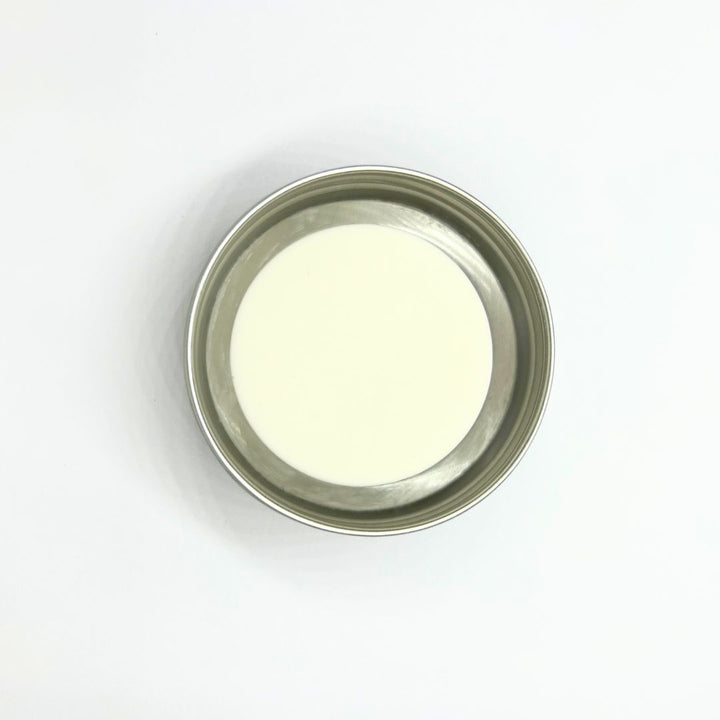 Translation missing: fr.Dentifrice Solide Menthol – Miniature 20 g | Grün